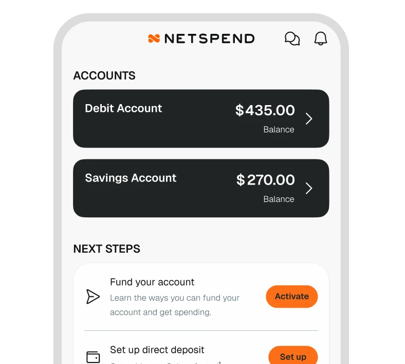 Screenshot of the Netsepnd app dashboard